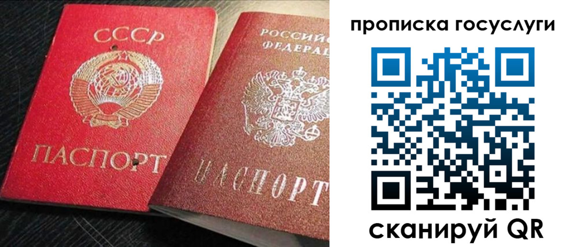 прописка гарантия в Мурманске